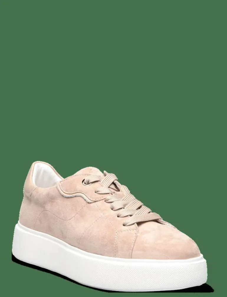 Ardisia - Låga sneakers