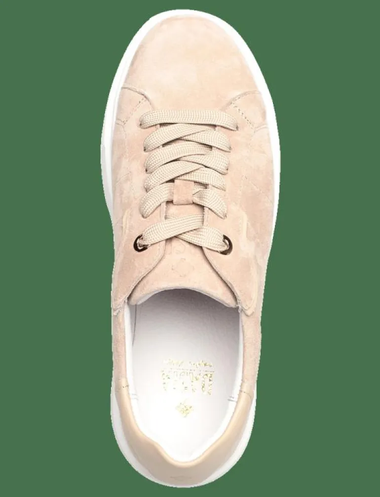 Ardisia - Låga sneakers