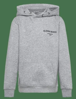 BORG ESSENTIAL 1 HOODIE - Huvtröjor