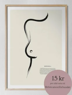 Bröstkoll - Illustrationer