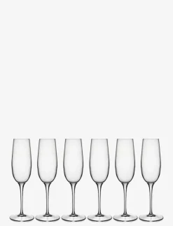 Champagneglas palace 23,5 cl 6 st klar - Champagneglas