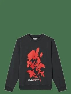 Compact Cotton Atli Sweatshirt - Sweatshirts