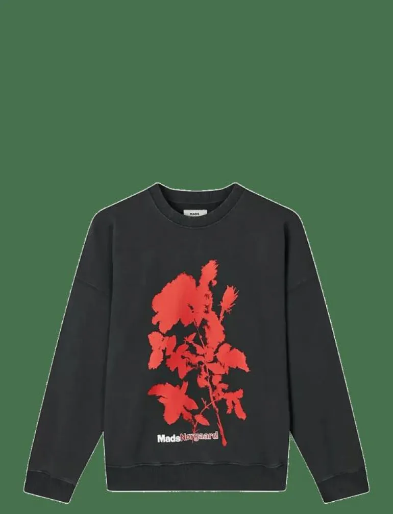 Compact Cotton Atli Sweatshirt - Sweatshirts