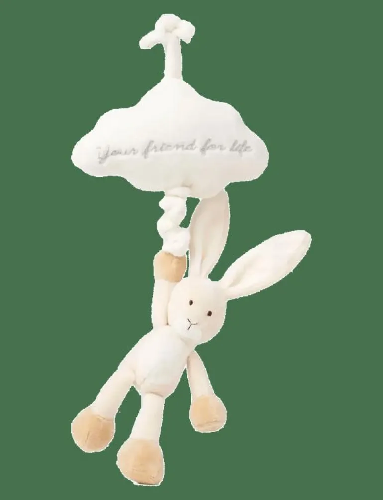Diinglisar, Speldosa Moln, Kanin, Beige - Speldosor