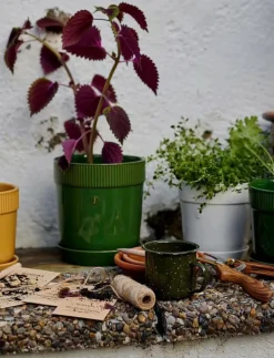 Elise Pot - Krukor