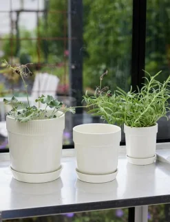 Elise Pot - Krukor