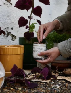 Elise Pot - Krukor