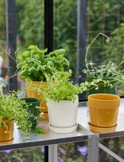 Elise Pot - Krukor
