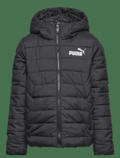 ESS Hooded Padded Jacket - Dunjackor & fodrade jackor