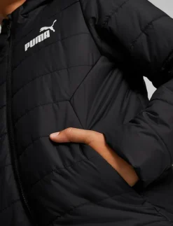 ESS Hooded Padded Jacket - Dunjackor & fodrade jackor