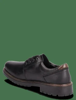 F4611 - Derbyskor