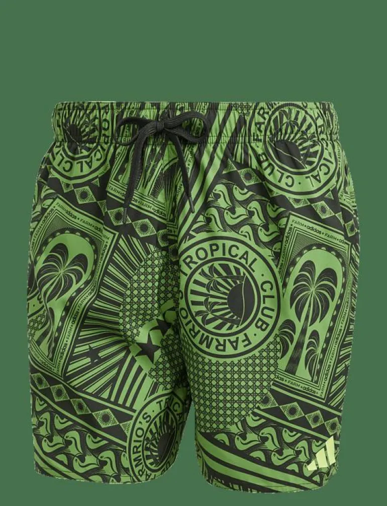 FARM SWIMSHORT - Badbyxor