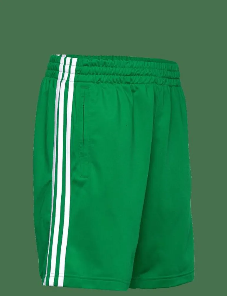 FIREBIRD SHORT - Träningsshorts