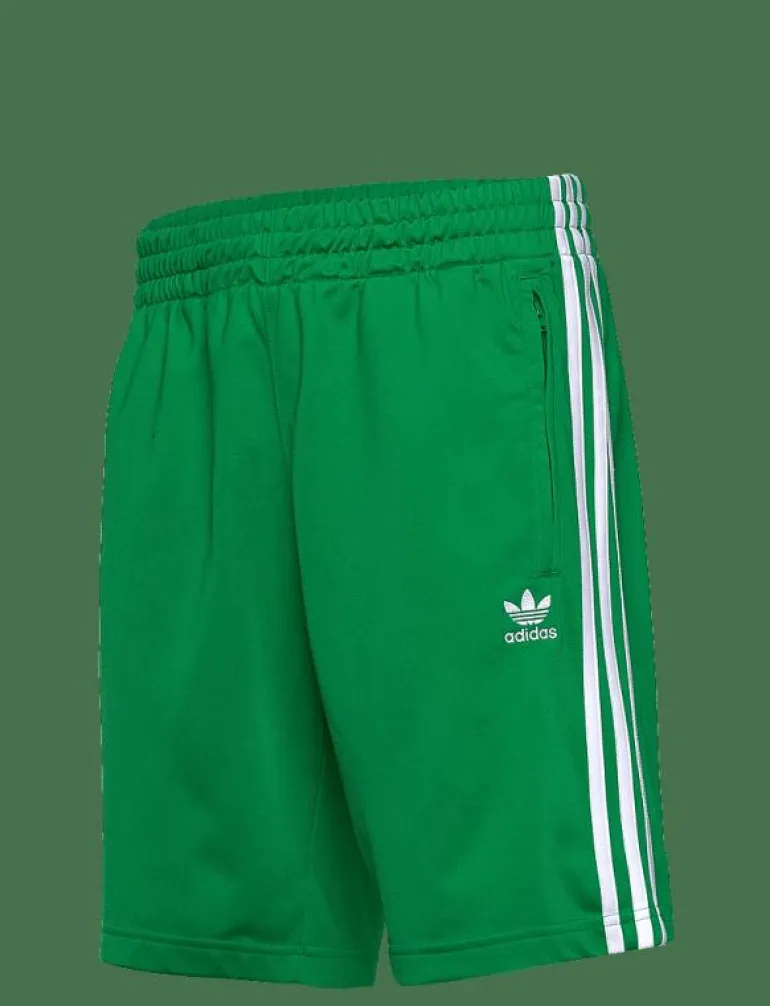 FIREBIRD SHORT - Träningsshorts