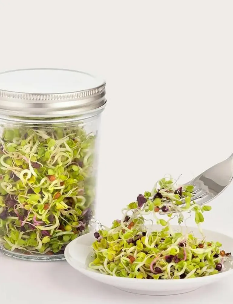 Frögrodd set Kilner® - Köksredskap