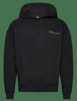 HALO ESSENTIAL HOODIE - Huvtröjor