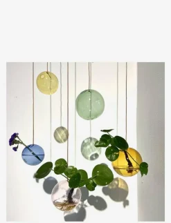 HANGING FLOWER BUBBLE - Vaser