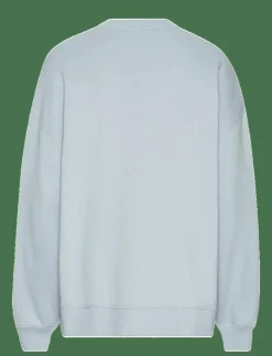 HEAVY SWEAT CREWNECK - Sweatshirts