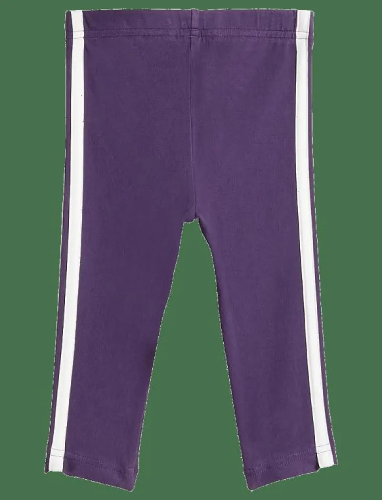 IG 3S TIB FL ST - Set