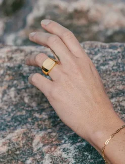 IX Tribute Signet Ring - Ringar
