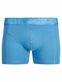 JACCANVEY TRUNKS 10 PACK LN - Boxershorts