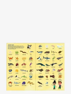 Kom med ned i havet - Pedagogisk barnbok