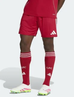 LFC H SHO - Träningsshorts