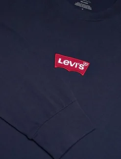 LS GRAPHIC AUTHENTIC TEE BADGE - Långärmade t-shirts
