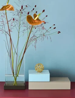 Lux Lacquer Box - Trälådor