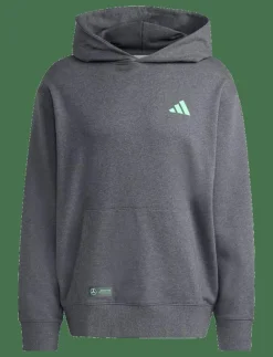 MER PS HOOD M - Huvtröjor