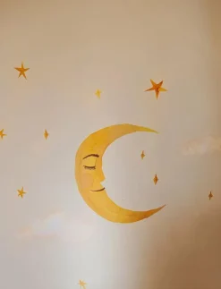 Moon - Natur