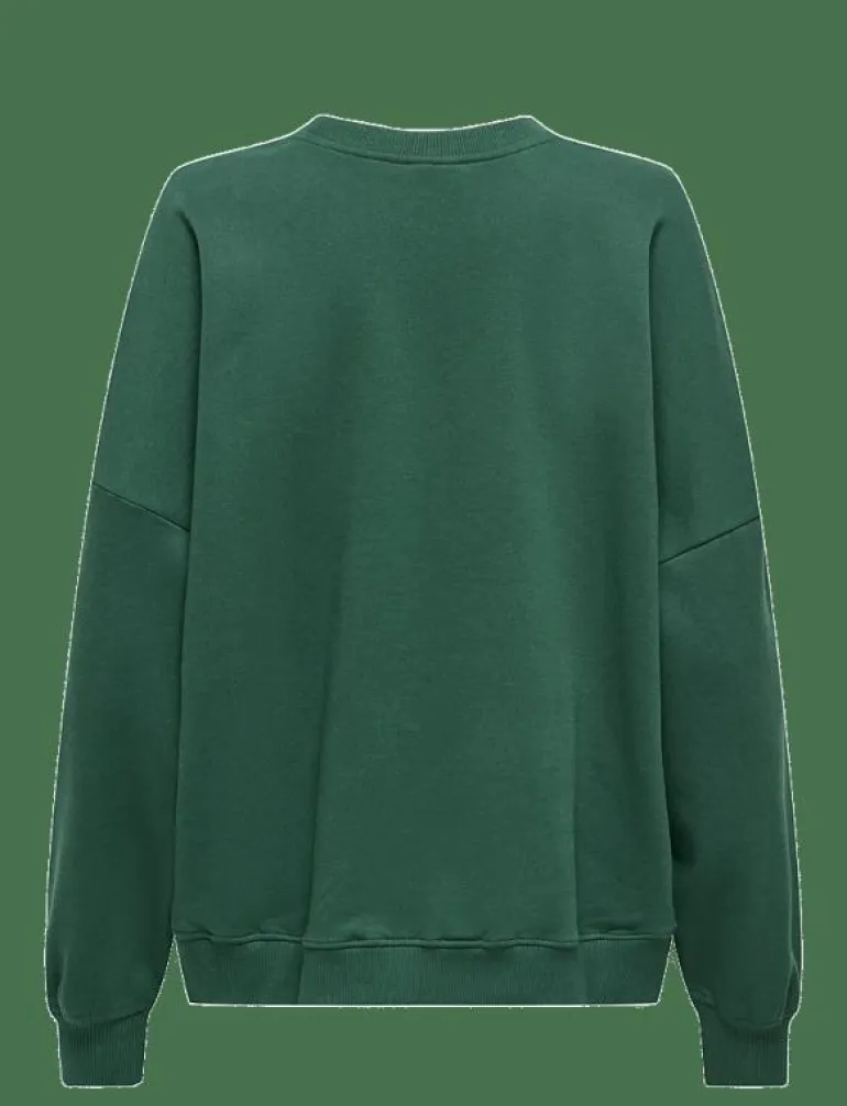 ONLBILA L/S BEAR O-NECK SWT - Sweatshirts