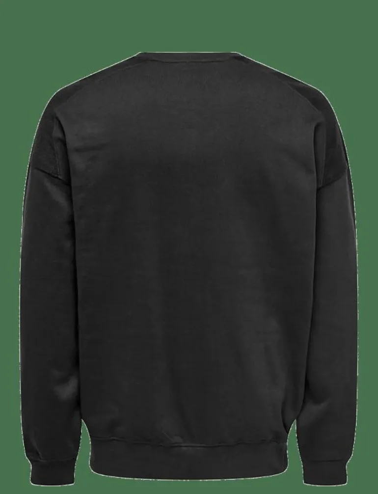 ONSEVANS VTG LS CREW TONAL BLOCK - Sweatshirts