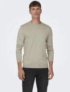 ONSWYLER LIFE REG 14 LS CREW KNIT NOOS - Rundhalsad