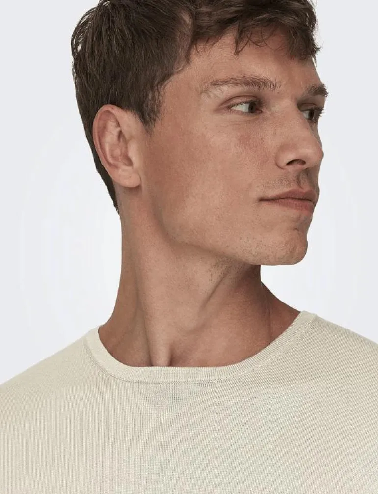 ONSWYLER LIFE REG 14 LS CREW KNIT NOOS - Rundhalsad