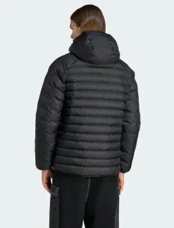 PAD HOODED JKT - Dunjackor