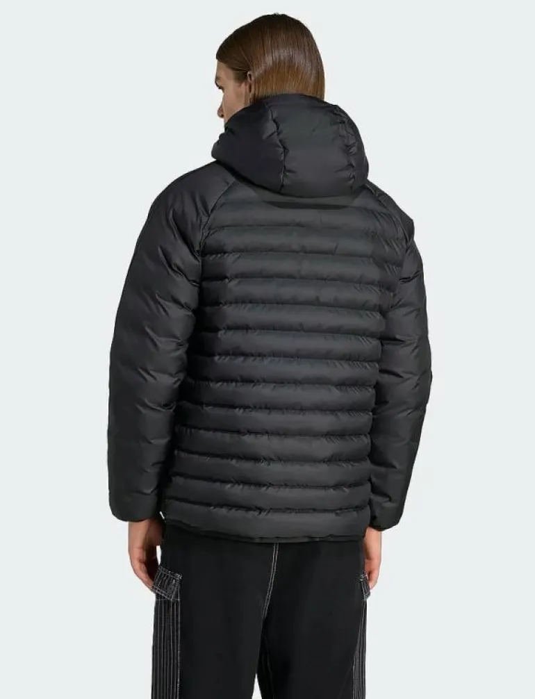 PAD HOODED JKT - Dunjackor