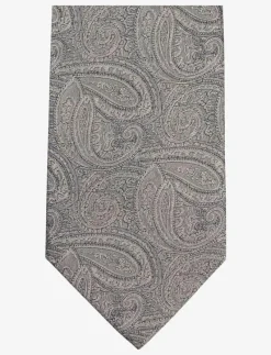 Paisley Silk Tie - Slipsar