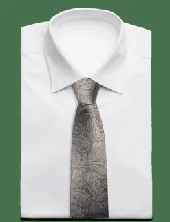 Paisley Silk Tie - Slipsar