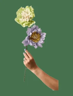 PAPER FLOWER - Torkade blommor