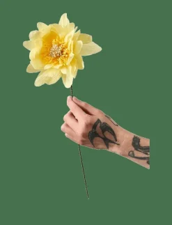 PAPER FLOWER - Torkade blommor
