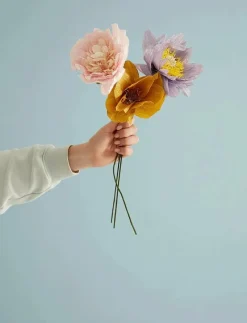 PAPER FLOWER - Torkade blommor