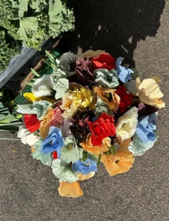 PAPER FLOWER, PAPAVER, BROWN - Torkade blommor
