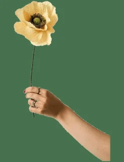 PAPER FLOWER, PAPAVER, SOFT PEACH - Torkade blommor