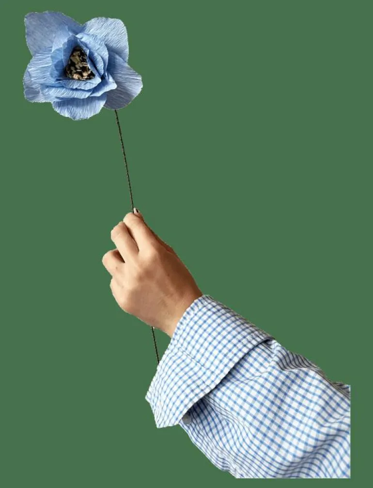 PAPER FLOWER, POPPY, LIGHT BLUE - Torkade blommor