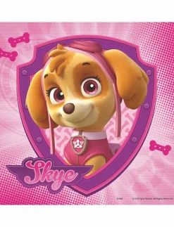 Paw Patrol Glamourous Girls 3x49p - Klassiska pussel