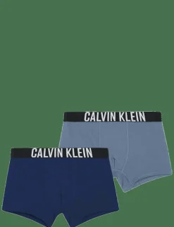 2PK TRUNK - Kalsonger