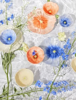 Plate Poppy - Assietter