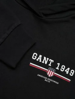 REG GRAPHIC HOODIE - Huvtröjor