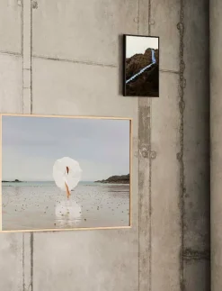 Social Distance - 50x70 cm - Fotokonst